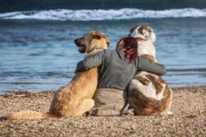 Qué es la Confianza y por Qué es Clave en Nuestra Vida 1.0 3 Qué es la Confianza