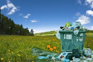 ¿Qué es la contaminación ambiental?: tipos, causas 1.0 4 Qué es la contaminación ambiental