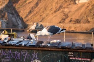 ¿Qué es la contaminación? 9 datos clave para entender 4 Qué es la contaminación