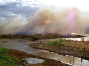 Causas del impacto ambiental: 10 factores que están destruyendo el planeta 3 Causas del impacto ambiental