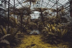Causas del impacto ambiental: 10 factores que están destruyendo el planeta 4 Causas del impacto ambiental