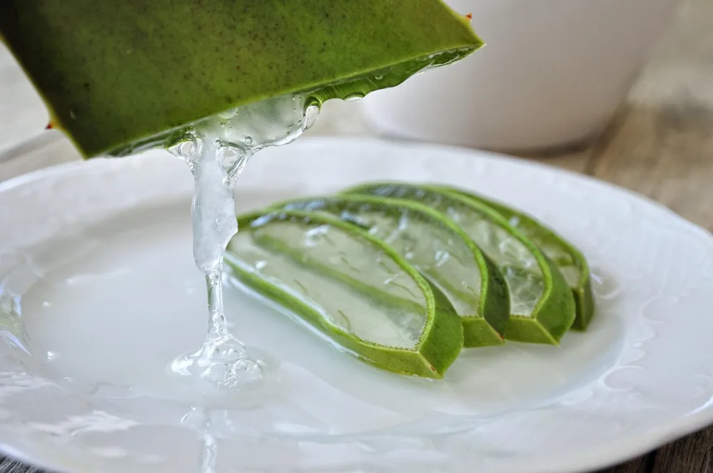 Aloe vera un aliado natural