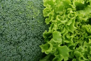 12 Verduras Más Ricas en Fibra para Mejorar tu Salud 3 verduras más ricas en fibra