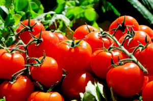 Beneficios del tomate: un superalimento para la salud, la belleza y la cocina 1.0 5 Beneficios del tomate