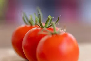 Para qué sirve el tomate: usos y valor nutricional de este fruto 1.0 5 Para qué sirve el tomate