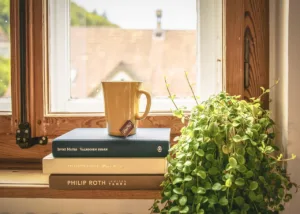 Qué es la lectura: 7 claves para entender su importancia 4 Qué es la lectura