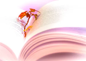 7 elementos de la lectura que potencian la comprensión lectora 5 elementos de la lectura