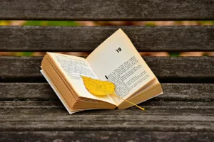 12 Estrategias para fomentar la lectura 5 Estrategias para fomentar la lectura