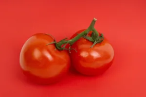 ¿Cuándo se siembra el tomate? Guía completa 1.0 4 Cuándo se siembra el tomate