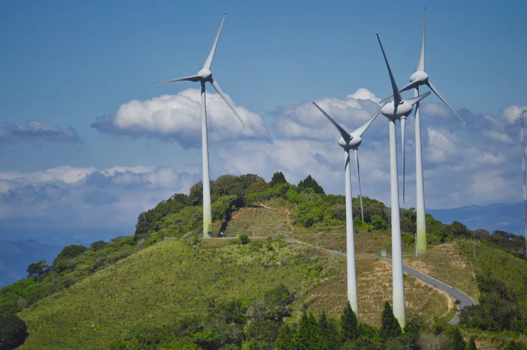 ejemplos de sostenibilidad