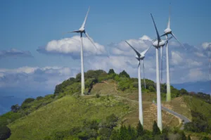 10 ejemplos de sostenibilidad 5 ejemplos de sostenibilidad