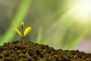 Finanzas públicas y sostenibilidad: 7 claves para entender su impacto 3 Finanzas públicas y sostenibilidad