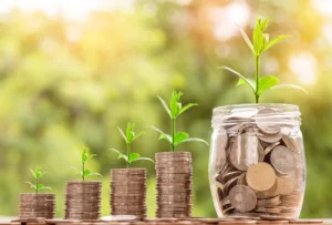 Qué son las finanzas públicas: 7 aspectos que debes conocer 4 Qué son las finanzas públicas