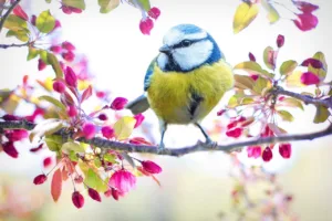 ¿Cuándo empieza la primavera en Chile? Todo lo que debes saber 1.0 4 Cuándo empieza la primavera en Chile