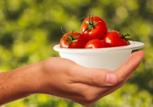 Historia del tomate: de los Andes al mundo moderno 1.0 5 Historia del tomate