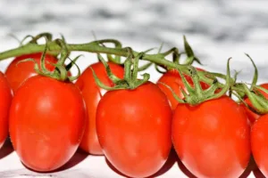 10 beneficios del tomate para la salud que debes conocer 4 beneficios del tomate para la salud