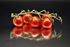 Plagas comunes del tomate: Cómo identificarlas y combatirlas 1.0 3 Plagas comunes del tomate
