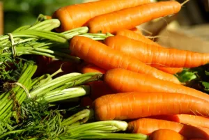 Por qué las zanahorias son saludables: 10 razones 5 Por qué las zanahorias son saludables