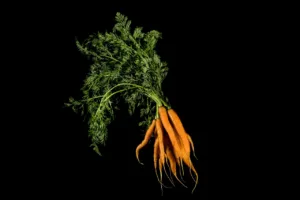 10 beneficios de comer zanahoria para tu salud y bienestar 3 beneficios de comer zanahoria