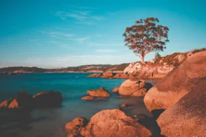 Cómo practicar mindfulness