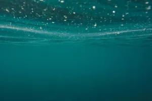 Importancia del agua: 7 razones esenciales por las que es vital 4 Importancia del agua