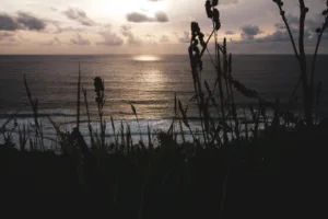 Cómo enseñar mindfulness